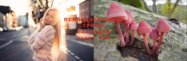 спиды Зеленокумск