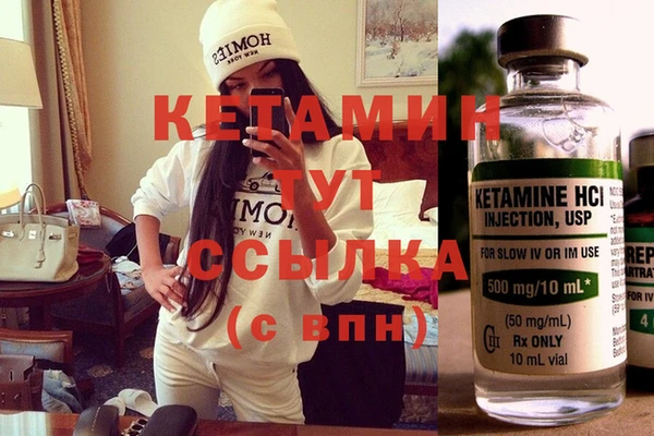стафф Заводоуковск