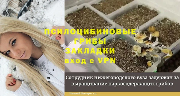 спиды Зеленокумск