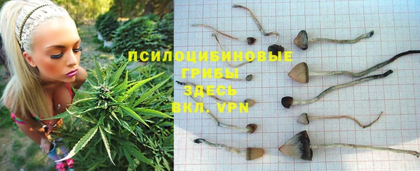 спиды Зеленокумск