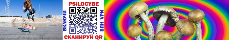 Купить закладки  Карпинск  Галлюциногенные грибы мухоморы 